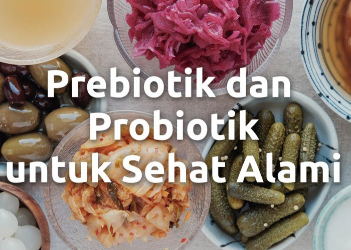 Inilah 7 Rekomendasi Makanan Probiotik dan Manfaat Kesehatannya yang Banyak untuk Tubuh