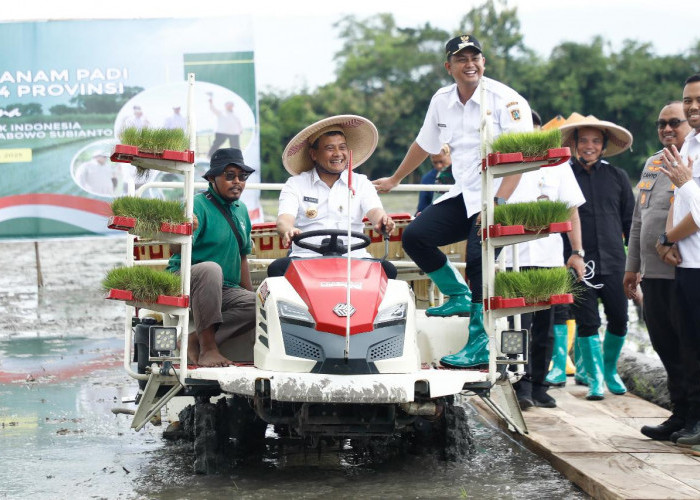 Produktivitas Pangan Jawa Tengah 2025 Capai Target Nasional, Bakal Lebih Digenjot pada 2026