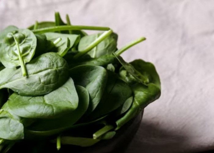 Baik untuk Tulang Lansia, Inilah 11 Manfaat Sayur Sawi Kaya Kalsium yang Sering Dibuat Salad