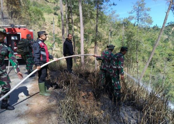 Minggu Pagi, Tim Gabungan Diterjunkan Atasi Kebakaran Hutan Petungkriyono
