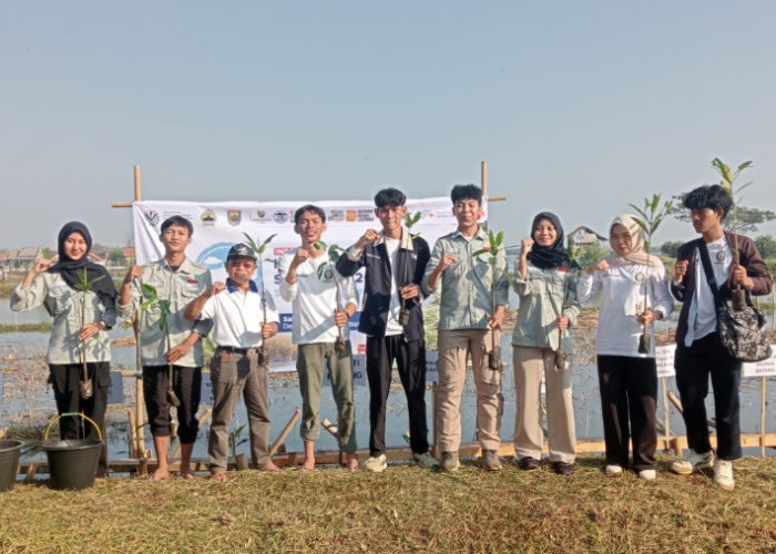 PSDKU Undip Batang Ikut Tanam Mangrove, Tanamkan Kepedulian Lingkungan pada Mahasiswa