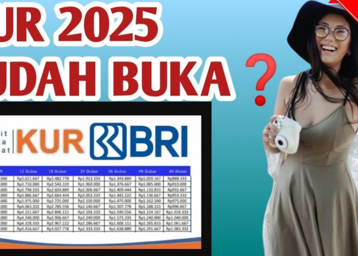 Tabel KUR BRI 2025: Plafon Hingga Rp300 Juta, Cicilan Mulai Rp6 Jutaan dengan Bunga 0,5%