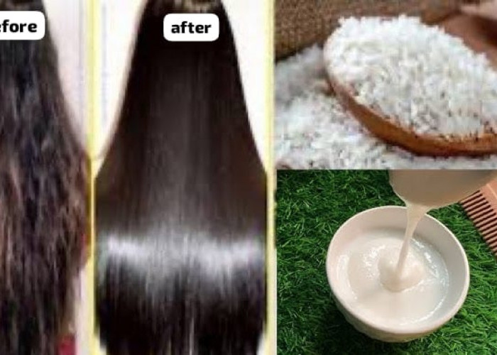 3 Manfaat Air Beras untuk Uban, Lengkap 3 Cara Pakai yang Benar Bikin Rambut Putih Hilang Tanpa Dicabut