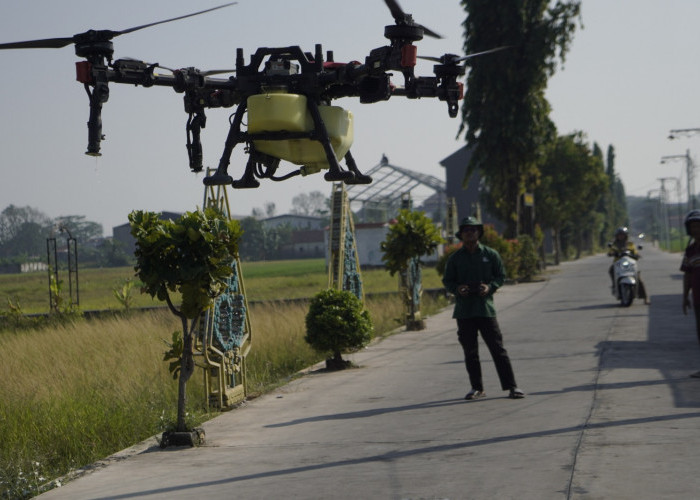 Tak Lagi Semprot Manual, Petani Kalipucang Wetan Batang Pakai Drone: Lebih Cepat dan Jaga Kesehatan