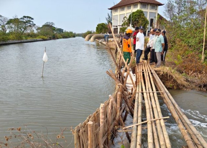 Wakil Ketua DPRD Tinjau Tanggul Jebol di Depok, Minta Tiga Titik Segera Ditangani
