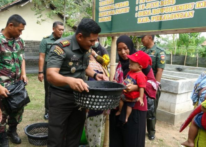 TNI Kodim Pekalongan Panen Perdana Ikan Lele, Hasilnya Sebagian Diberikan untuk Anak Stunting