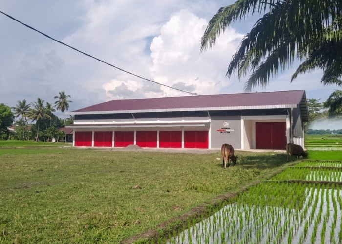 Sebagian Besar Kopdes Merah Putih Berdiri di Lahan Pertanian Berkelanjutan, Pemkab Batang Kaji Perumahan RTRW 