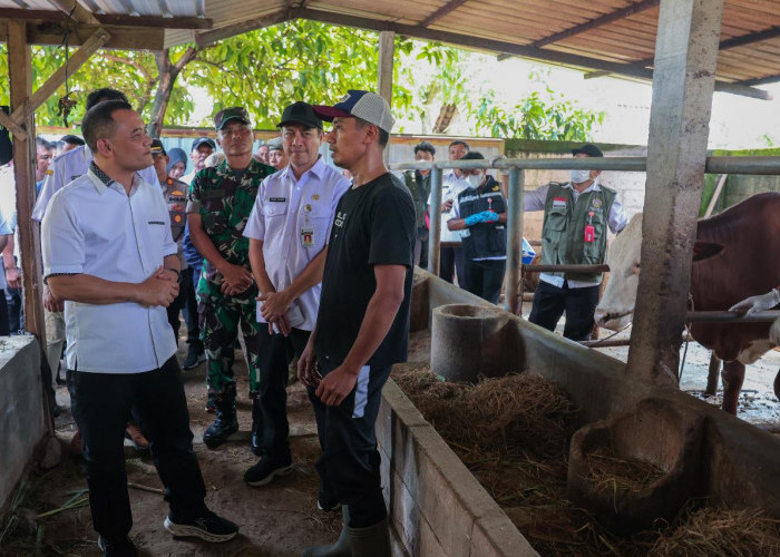 Jelang Iduladha, Ahmad Luthfi Minta Layanan Kesehatan Hewan Keliling Diintensifkan