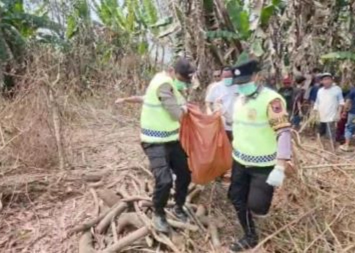 Lansia Pekalongan Hilang 3 Hari, Ditemukan Tewas di Kebun Wonopringgo