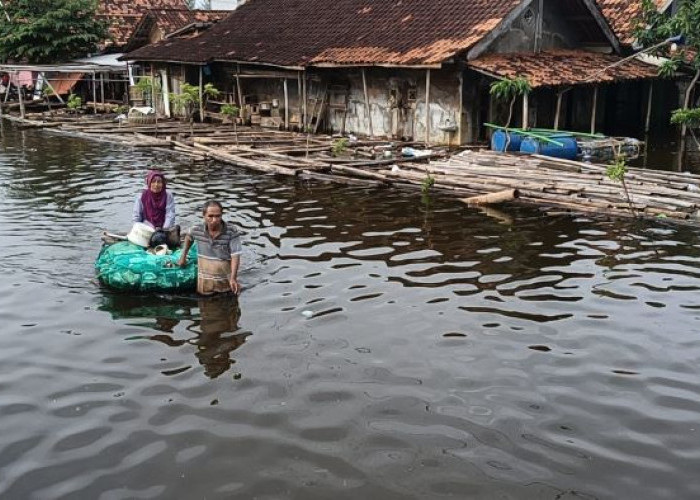 Banjir Pekalongan Kian Parah! Hampir 2.000 Warga Mengungsi, PMI Akui Logistik Masih Minim