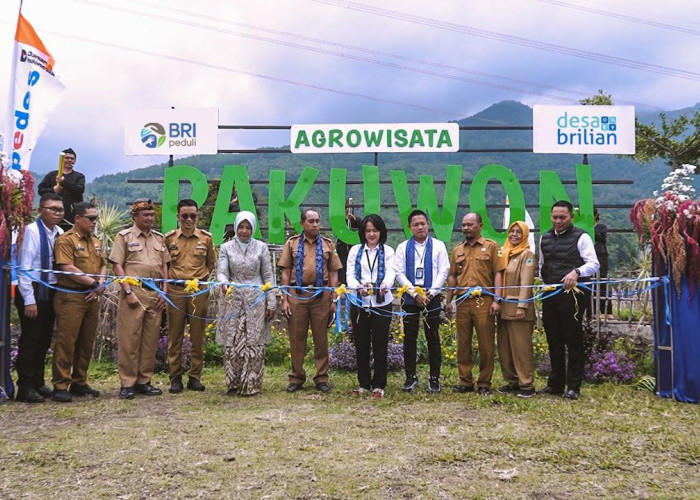 Lewat Program Desa BRILiaN, Desa Pajambon Jadi Contoh Transformasi Ekonomi Desa Berbasis Potensi Lokal