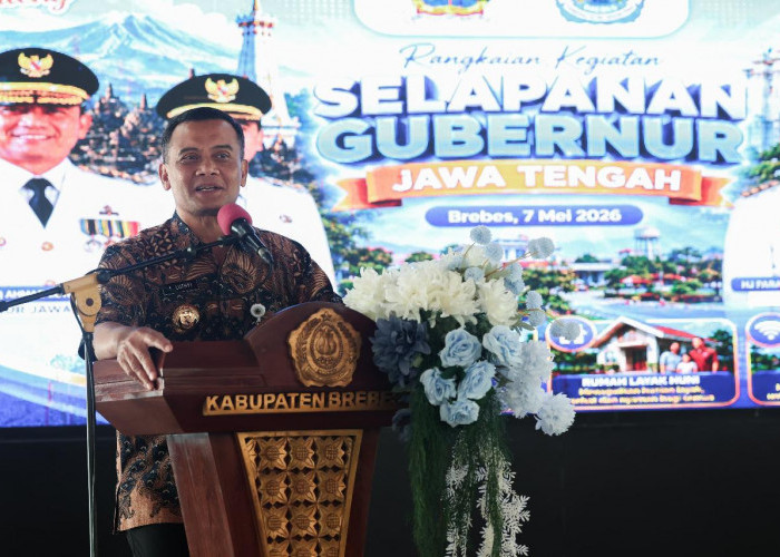Di Tengah Ancaman Bawang Bombai, Ahmad Luthfi Pastikan Bawang Merah Brebes Masih Jadi Andalan