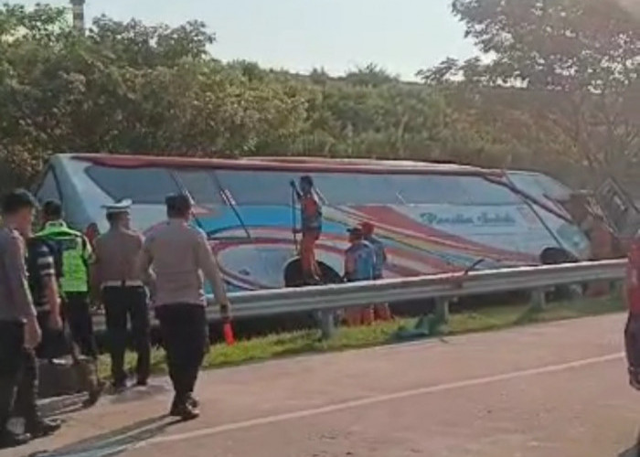 Kecelakaan Maut Bus Rosalia Indah di Tol Batang-Semarang, 7 Penumpang Tewas