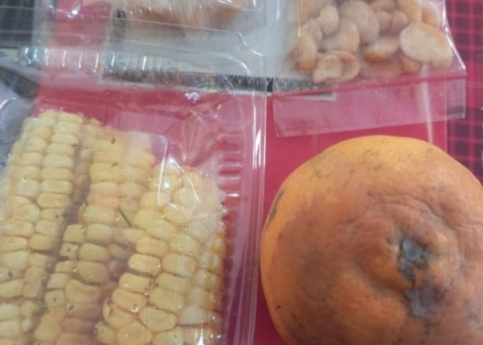 Program Makan Bergizi Gratis di Batang Tuai Polemik, Dugaan Markup hingga Menu Tak Layak