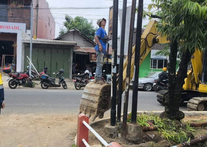 Puluhan Tiang Jaringan Internet Sejumlah Provider di Jalan Ahmad Yani Batang Dicabut Paksa