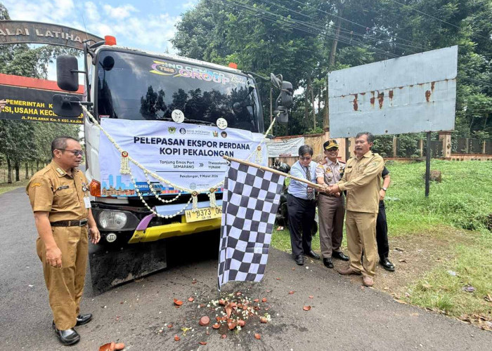 Kopi Robusta Pekalongan Tembus Pasar Eropa, Bank Indonesia Tegal Fasilitasi Ekspor 19,8 Ton ke Yunani