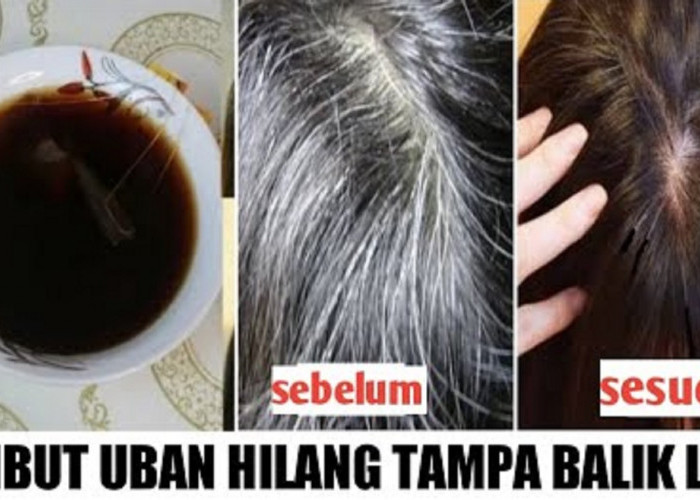 DIY Shampo Penghitam Rambut Uban Racikan Sendiri, 3 Bahan Alami Ini Ampuh Bikin Rambut Hitam Lurus Berkilau