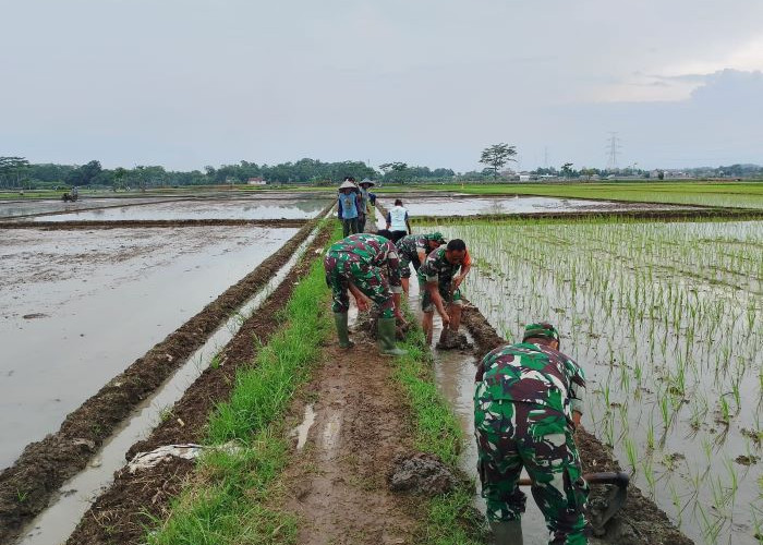 Babinsa Koramil Bojong Karya Bhakti Normalisasi Irigasi di Bojongwetan Pekalongan