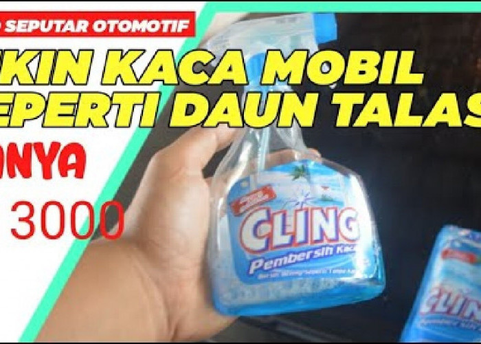 Cuma Rp3.000, Begini Trik Ampuh Membuat Efek Daun Talas di Kaca Mobil, Dijamin Anti Air!