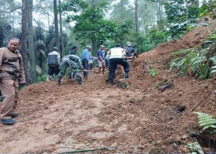 Jalan Pamutuh–Depok Tertutup Longsor, Warga dan Aparat Bahu Membahu Singkirkan Pohon Aren Raksasa