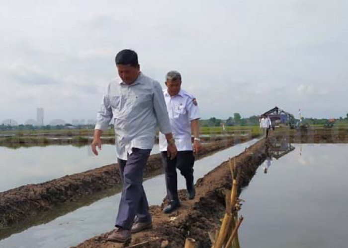 Pembangunan Tanggul Laut Pekalongan Mulai Membawa Dampak Negatif di Batang