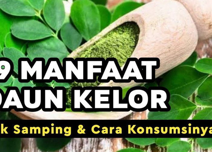 Punya Segudang Manfaat! Inilah 3 Manfaat Sayur Daun Kelor, Kaya Nutrisi dan Bisa Cegah Penyakit