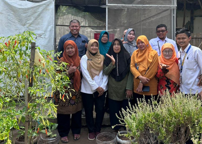 Urban Farming Pekalongan Bertransformasi, Kelompok Tani Sulap Panen Jadi Produk Bernilai Ekonomi
