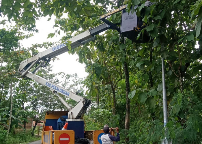 Dishub Kabupaten Pekalongan Intensifkan Perambasan Ranting Pohon Demi Optimalkan PJU