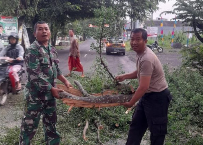 Koramil dan Polsek Karanganyar Bersama BPBD Bersihkan Pohon Tumbang di Jalan Raya Karanganyar - Wonopringgo 