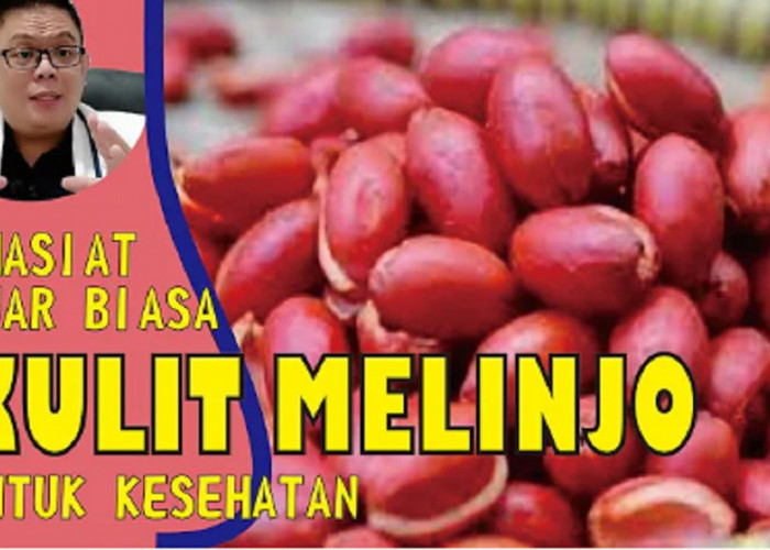 Jangan Sepelekan! Inilah 6 Khasiat Kulit Melinjo untuk Kesehatan 