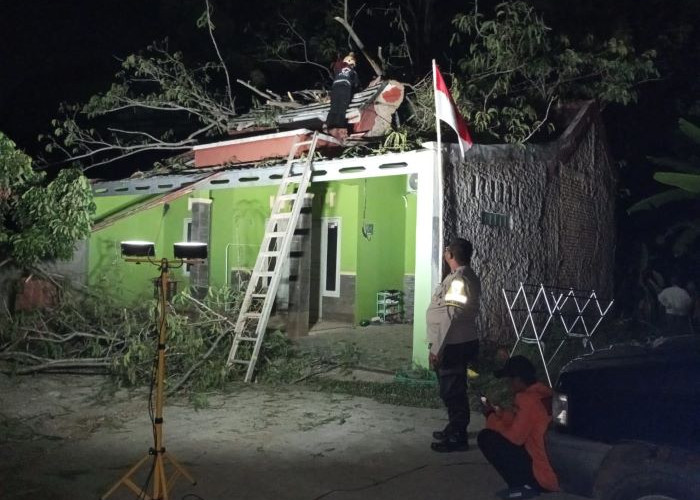 Pohon Hutan Kota di Pekalongan Tumbang Timpa Rumah Warga, Ibu dan 4 Anak Luka-luka Terkena Puing-puing Rumah