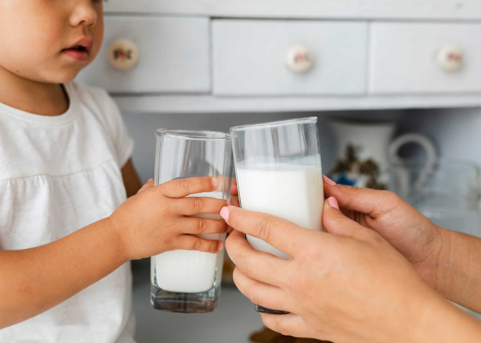 Bunda Wajib Tahu! 5 Merk Susu Formula Terbaik untuk Bayi, Favorit Para Ibu