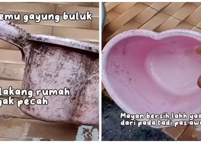 Trik Ampuh Bersihkan Gayung Berjamur dan Berkerak Tebal dengan Bahan Dapur Ini