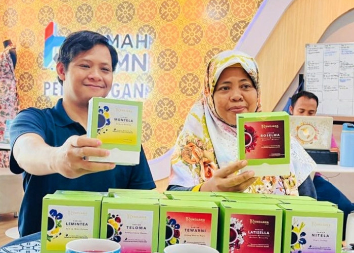 Dari Lahan Terbatas, Kelompok Tani Pekalongan Kembangkan Teh Artisan Bernilai Ekonomi