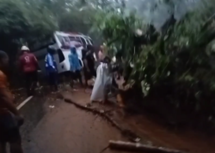 Kecamatan Paninggaran Kabupaten Pekalongan Dihajar Longsor, Sekolah dan Rumah Warga Rusak