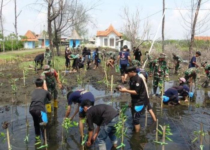 Kodim Pekalongan Bersama Kapilaska SMAN 1 Kajen Bersih-bersih Pantai dan Tanam Mangrove di Pantai Depok