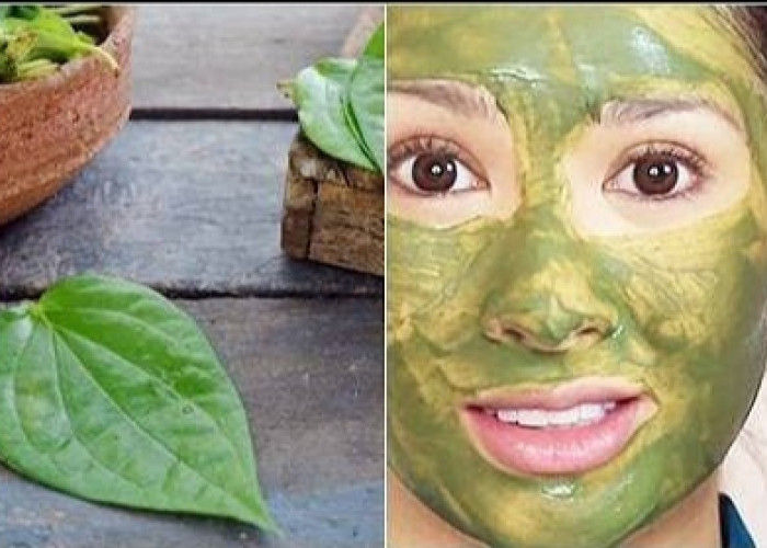 Inilah Cara Membuat Masker Daun Binahong untuk Memutihkan Wajah, Pasti Bikin Putih dan Glowing Permanen