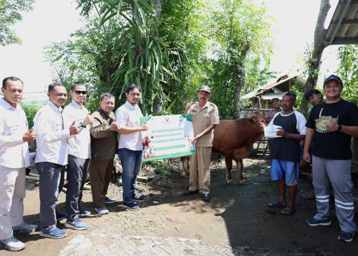 Jelang Idul Adha, 31 Hewan Kurban dari PLTU Batang Disalurkan ke 25 Lokasi Sekitar Operasional