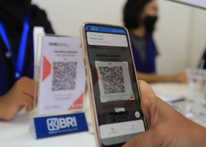 Lewat BRIlink, PMI di Desa Talang Pangeran Mudah Kirim Uang ke Kampung Biaya Murah Cepat Sampai 