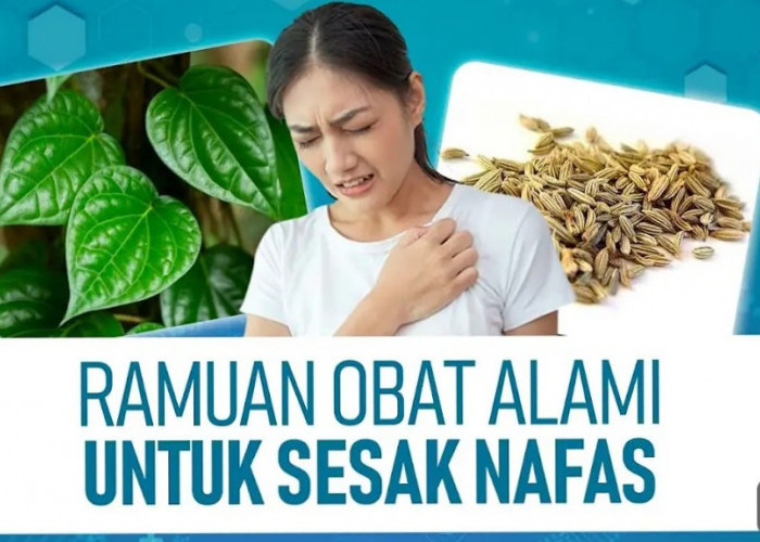 Sederet Obat Alami untuk Atasi Masalah Pernapasan yang Wajib Kamu Tahu