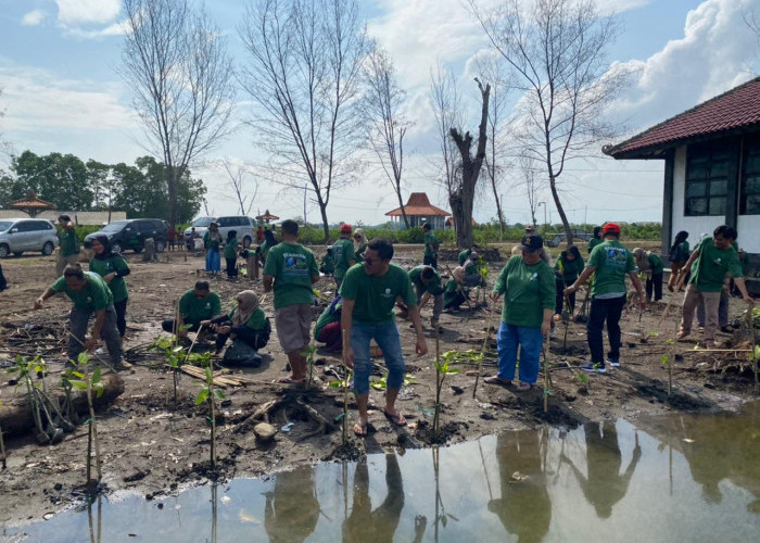 Ratusan Mahasiswa UT Semarang Tanam Ribuan Mangrove di Pantai Blacanan
