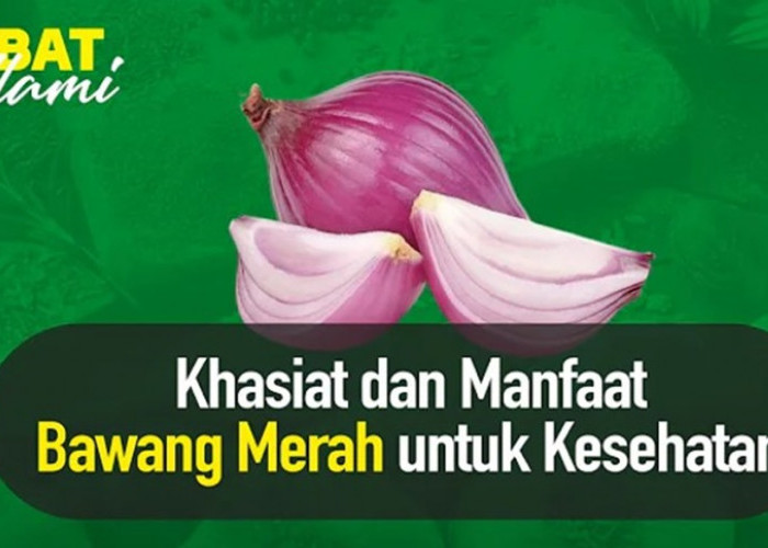 Ini Dia 6 Manfaat Ajaib Bawang Merah sebagai Obat Alami untuk Kesehatan 