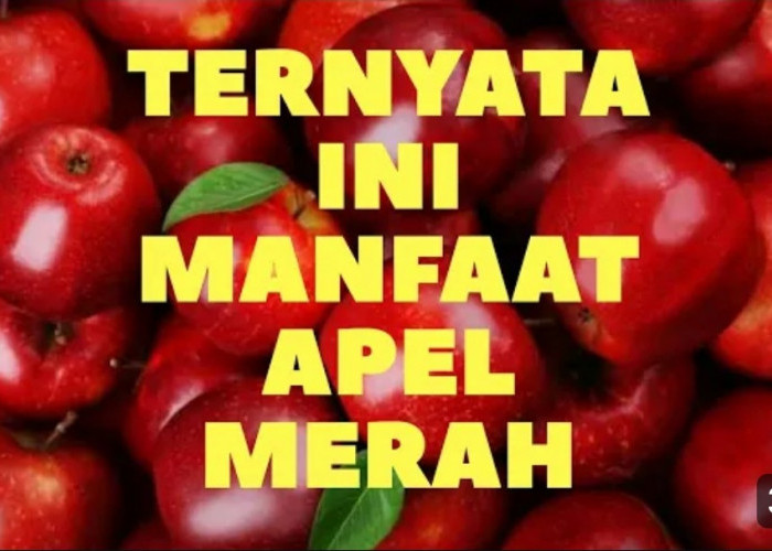 Kaya akan Vitamin C, Ini Dia Kegunaan Buah Apel untuk Kesehatan Wajah Cantikmu Agar Tetap Glowing