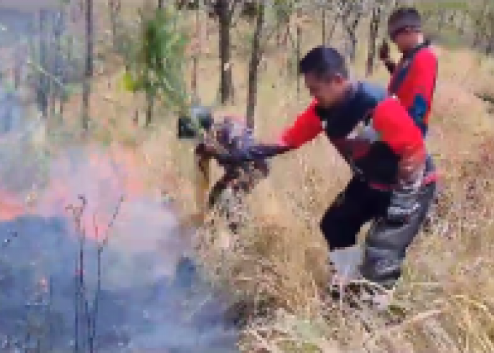Jelajahi Hutan dengan Tim Trabas Kamtibmas, Kapolres Pekalongan Temui Kebakaran Hutan