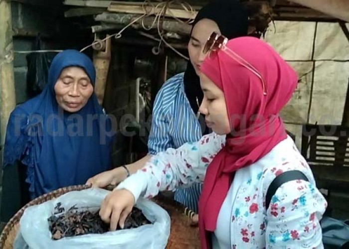 Banyak Potensi, Rintisan Deswita Besani Terus Tunjukkan Prestasi