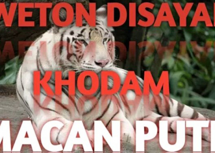 Top 3 Primbon Jawa: Miliki Khodam Macan Putih Bikin 3 Weton Ini Selalu Terhindar dari Malapetaka, Cek Wetonmu!