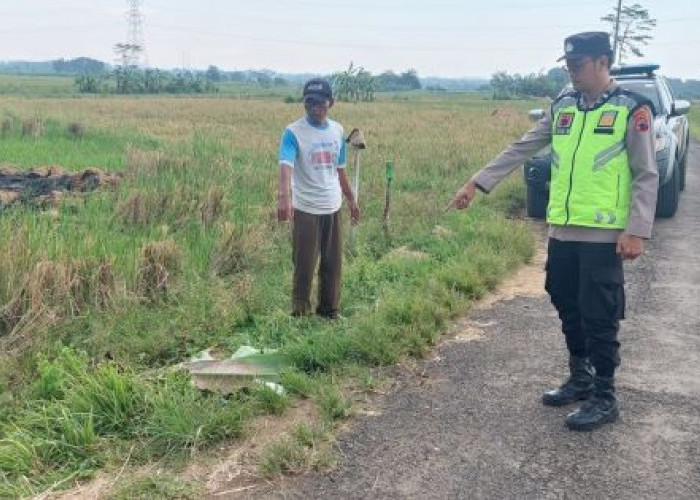 Lagi Asyik Lepas Merpati, Sutikno Tewas Tersambar Petir di Karangdadap