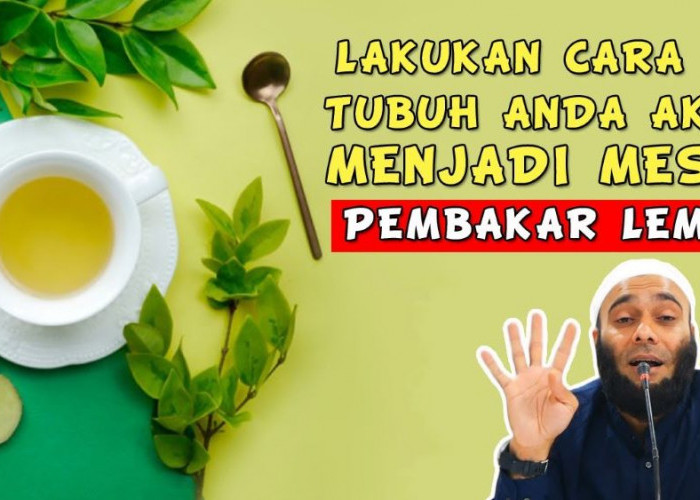 Cara Meratakan Perut Buncit Ala dr. Zaidul Akbar, Cukup Sediakan 4 Rempah Ini, Perut jadi Rata 