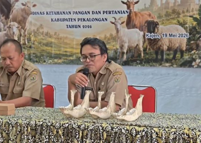 DKPP Pekalongan Latih Panitia Kurban Terapkan Standar ASUH, Ini Temuan Kesalahan Saat Proses Kurban