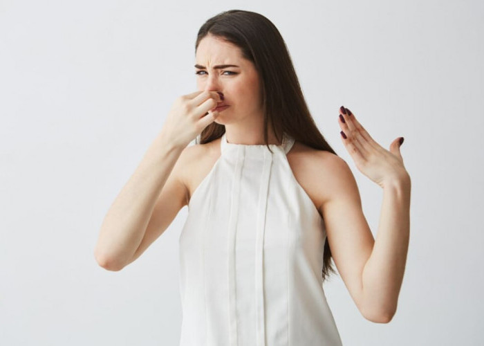 4 Obat Bau Mulut Alami yang Bikin Nafas Segar Seharian, Nafas Wangi Bebas Bau Mulut Meskipun Puasa